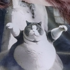 Александра Силакова, Санкт-Петербург