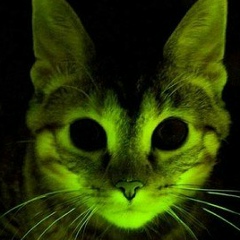 Сергей Малахов, 29.02.1984, Уфа