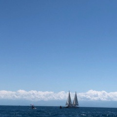 Айпери Мурадылова