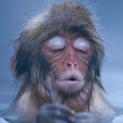 Евгения Ковалевская, Омск