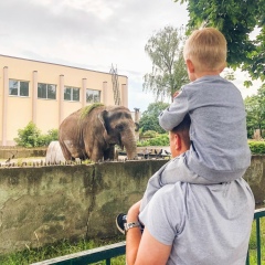 Алексей Дмитриев, 17.04, Калининград