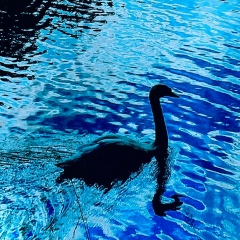 Eleonora R, Нижний Новгород