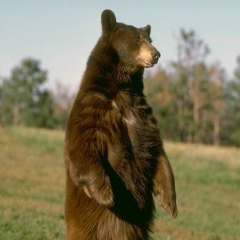 Андрей Гончарук, 20.04, Киев