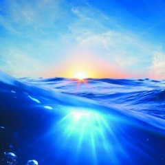 Олеся Петрова