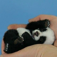 Людмила Минюхина, 05.01.1990, Казань