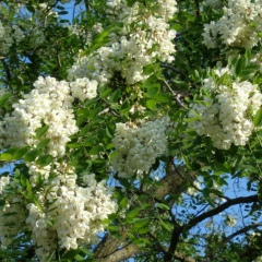 Людмила Малышева, 25.06.1948, Санкт-Петербург