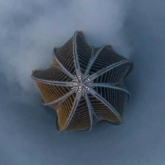 Андрей Соколов, Санкт-Петербург