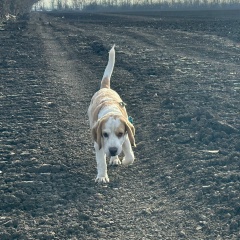 Сергей Шишкин, 08.05.1982, Усть-Каменогорск