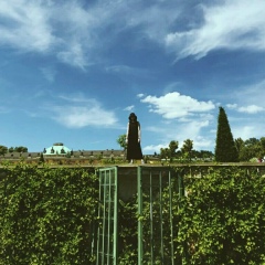 Ольга Бурлак, 04.11