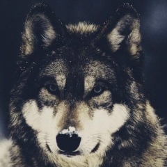 Нурмухан Абиев, 16.03, Жанаозен