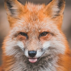 Жанмарал Галымжанов, 05.07.2000, Кызылорда