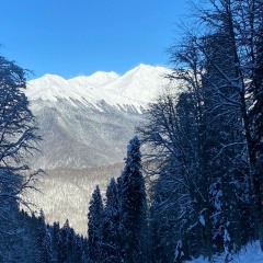 Станислав Годецкий, Москва