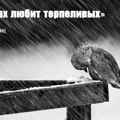 Фархад Амирасланов, 04.01, Дербент