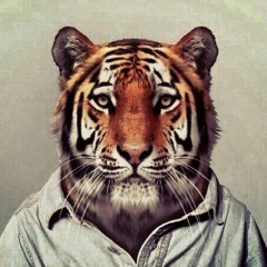 Залимхан Юнусов, 25.09.1991, Махачкала