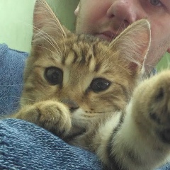 Сергей Костенков, 07.01.1985