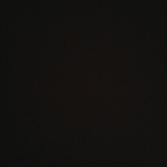 Антон Боярышников, 01.01.2006, Москва