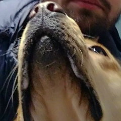 Андрей Гайворонский, 15.04.1993, Томск