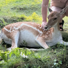 Анна Колесникова, 11.08, Москва