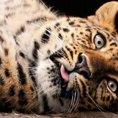 Мадина Мурзабаева, 12.07.1993, Бишкек