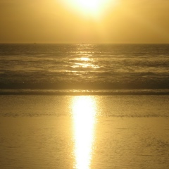 Виктор Хабаров, Санкт-Петербург