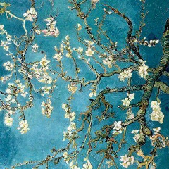 Seda Matinyan, 10.07.1998, Ереван