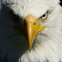 Беркут Куатбаев, 21.09, Алматы