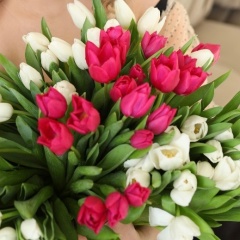 Влада Патраманская, 01.11, Екатеринбург