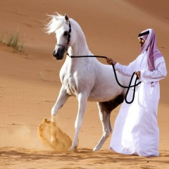 Шералы Кипчаков, 01.11.1989, Актау