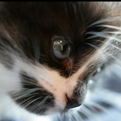 Анна Сагалакова, 18.12.1988, Мирный