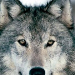 Джамбул Кудайбергенов, 18.06.1982, Шымкент