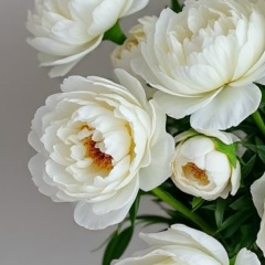 Ольга Суслопарова, 10.03, Киров