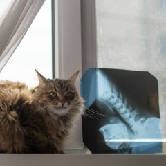 Екатерина Касаткна, 29.05