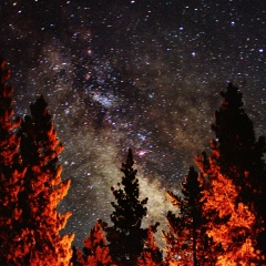Максим Плеханов, 02.02.1982