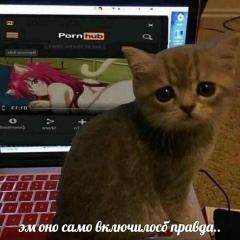 Александр Пушкинский, 06.01.2006, Москва