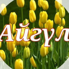 Айгуль Амирова, 03.03.1905