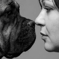 Гаяне Бойко, 22.12.1976, Партенит