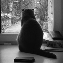 Александра Вишневская, 11.11.1987, Тырныауз