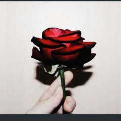 Ибрагим Бассаев, Санкт-Петербург