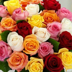 Ainura Baidullaeva, 11.04.1992, Актау