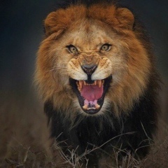 Rinat Ahmetshin, 29.07, Актобе