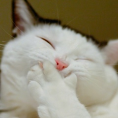 Серега Соловьев, 04.11, Санкт-Петербург