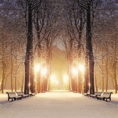 Гульмира Торегали, 07.05.1985