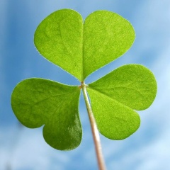 Аниуар Гонгапшев, 13.09, Москва