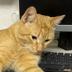 Надежда Кузина, 28.04.1999, Актау