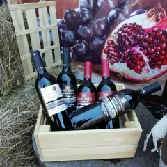 Александр Гуренко, 08.12, Алматы