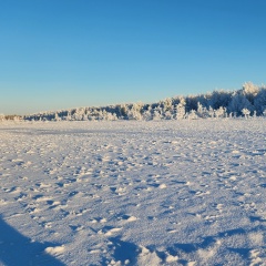 Игорь Сребницкий, 03.07, Губкинский