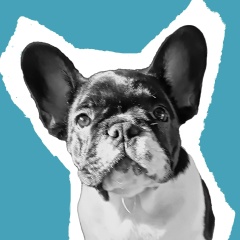 Кирилл Сикорский, 06.03, Ростов-на-Дону