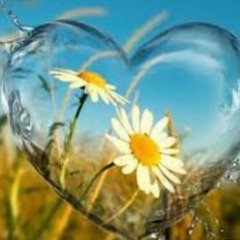 Ирина Ирина, Воронеж