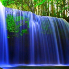 Гулиза Абдылдаева, 15.03.1989, Каракол