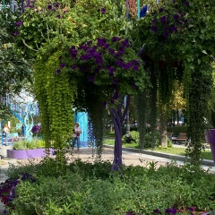 Ульяна , Барнаул